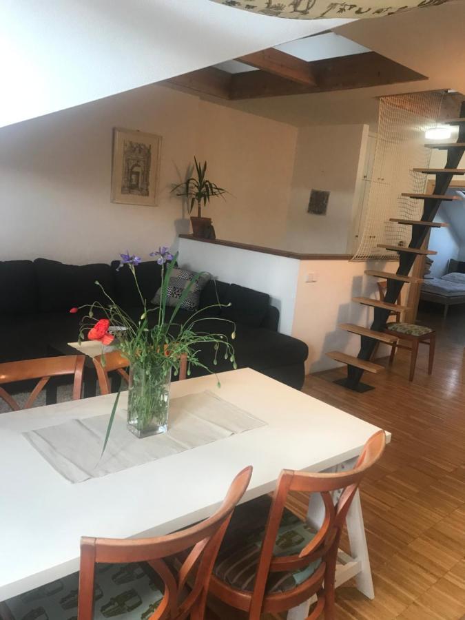 Apartman Slovinska 28 Brno Exterior foto